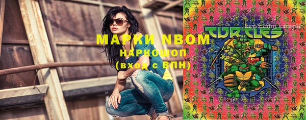 эйфоретик Новокубанск
