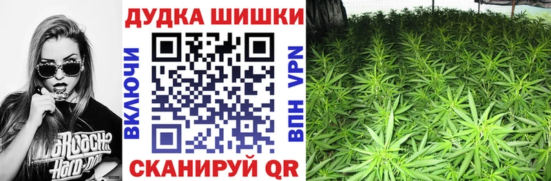 Каннабис конопля  Салехард 